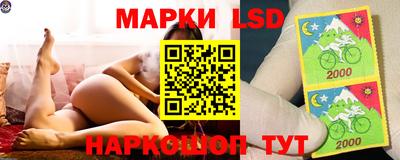 ALPHA PVP Бердск