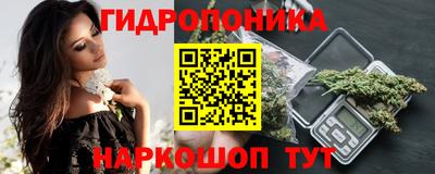 ALPHA PVP Бердск