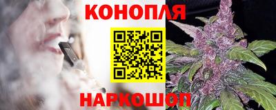 прущие грибы Братск